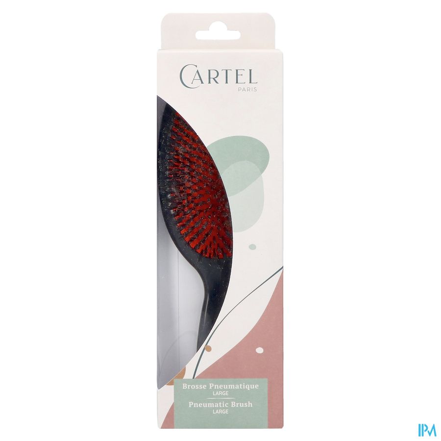 BROSSE PNEUM . SANGLIER LARGE (ASIE)