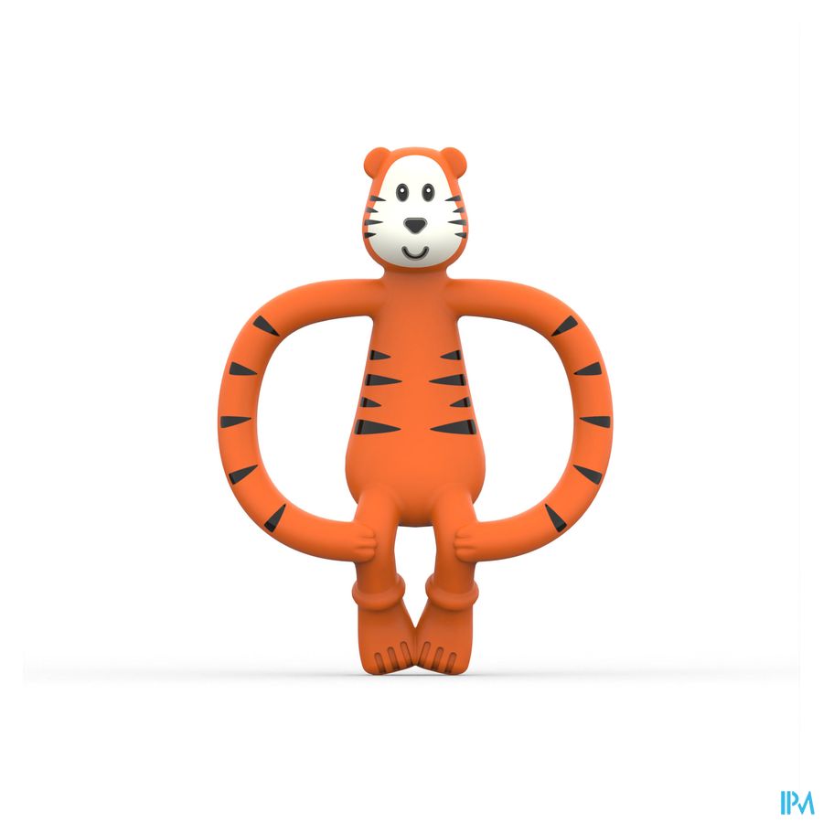 Matchstick Monkey Anneau Dentition Tigre