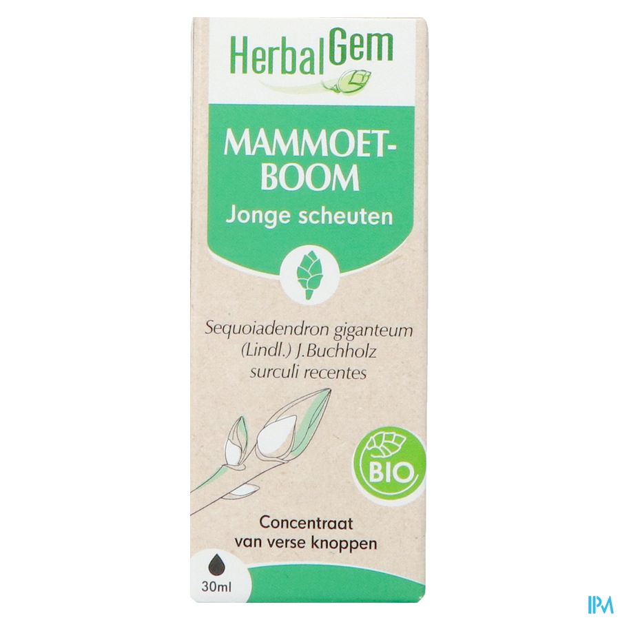 Herbalgem Sequoia Bio 30ml