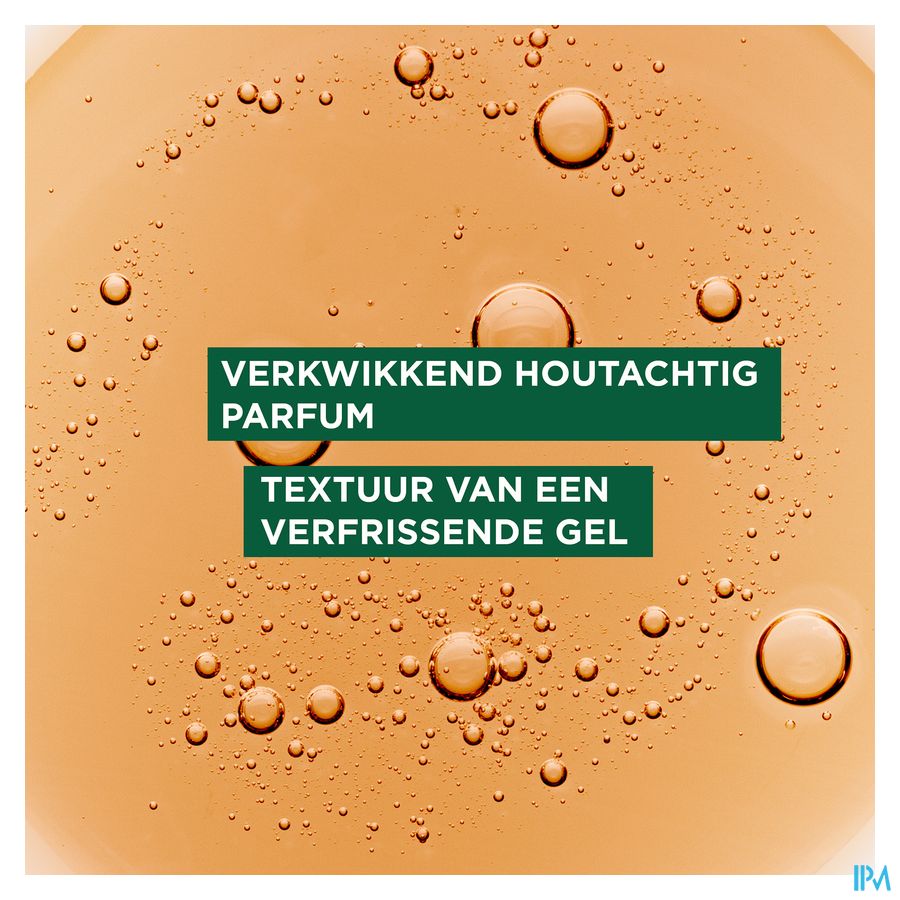 Klorane — Shampoing Rééquilibrant Antipelliculaire au Galanga — Pellicules libres