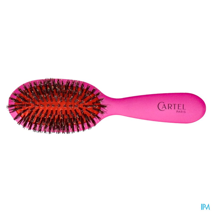 BROSSE PNEUM. SANGLIER SAC COULEUR (ASIE)