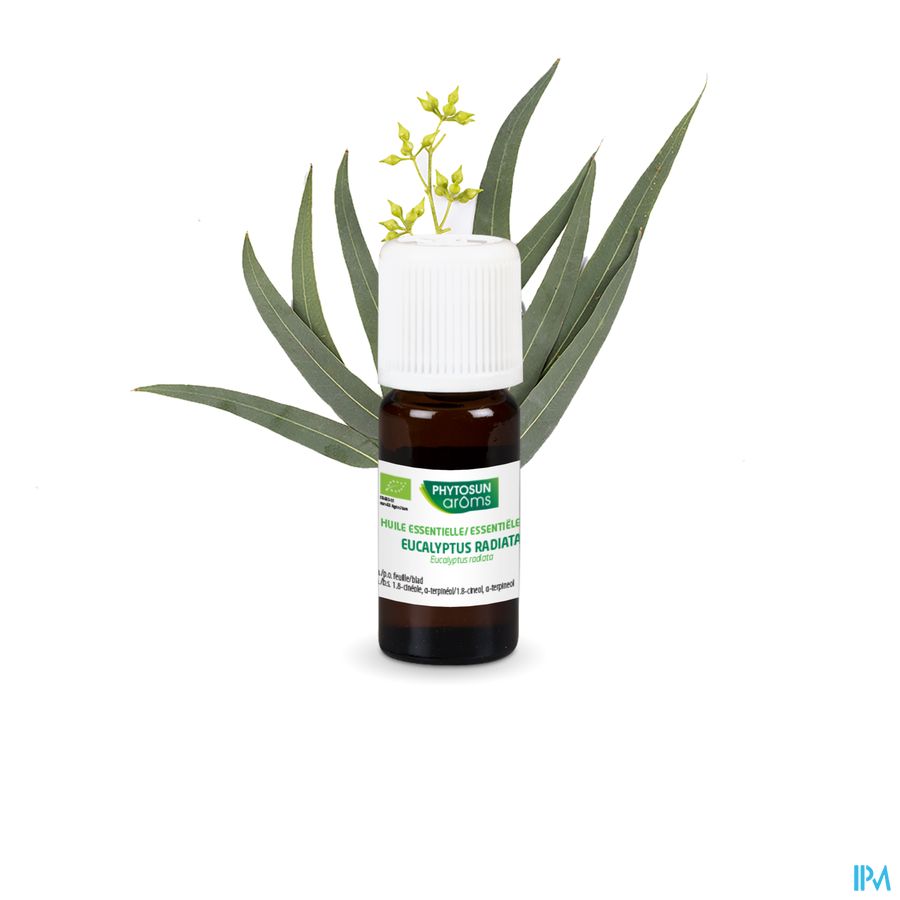Phytosun® Huile Essentielle Eucalyptus radiata bio – 10 ml – Respiration et immunité