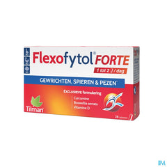 Flexofytol Forte Comp Pell 28 Nf