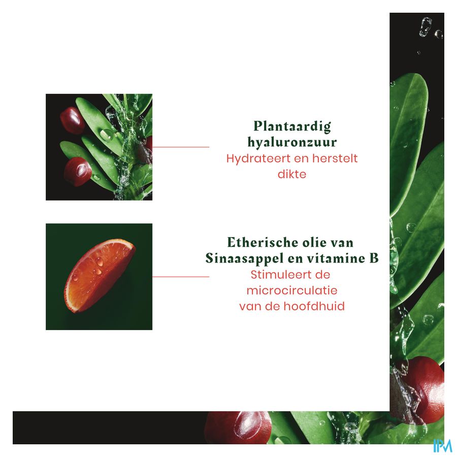René Furterer - Shampooing repulpant - Shampoing densifiant pro-jeunesse - TONUCIA NATURAL FILLER