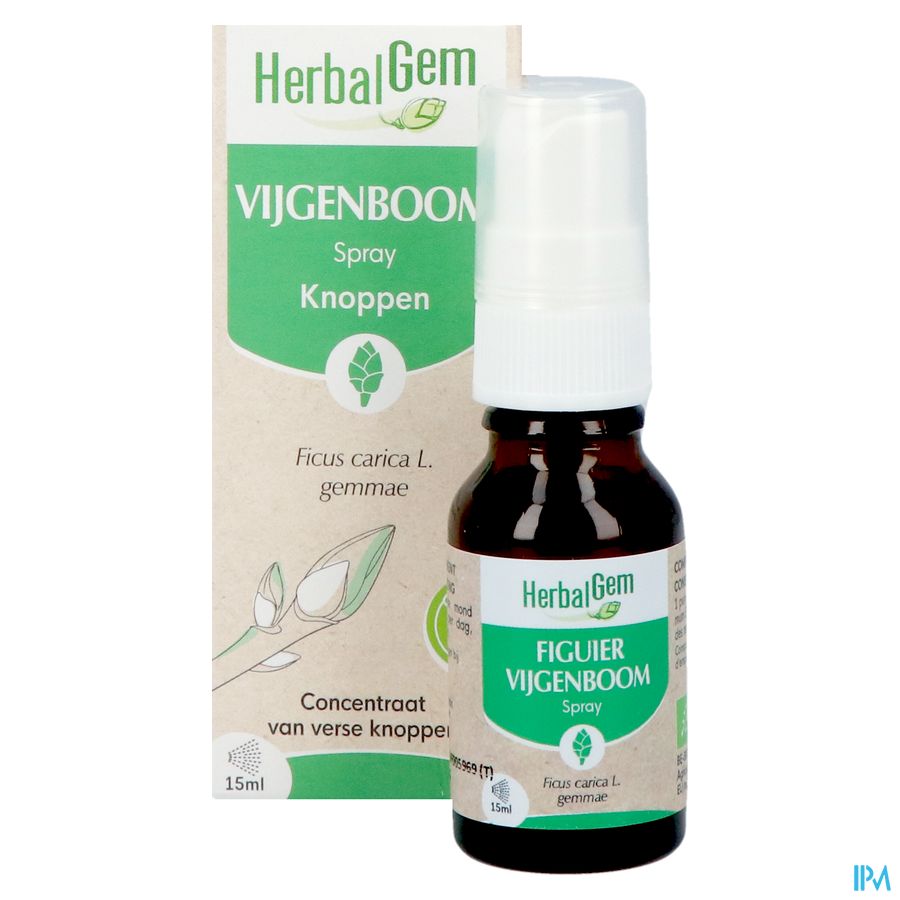 Herbalgem Figuier Bio Spray 15ml