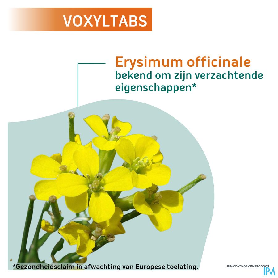 VOXYLTBAS Pastilles pour la gorge