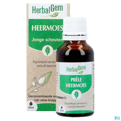 Herbalgem Prele Jp Bio 30ml