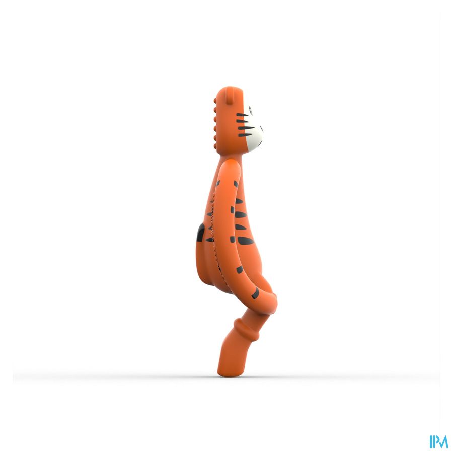 Matchstick Monkey Anneau Dentition Tigre
