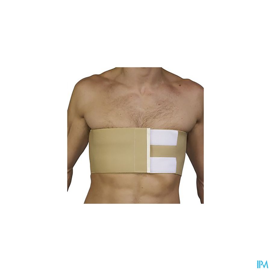THORAX BOTA HOMME VELCRO - HAUTEUR 20 CM \ XLARGE = + 120 CM