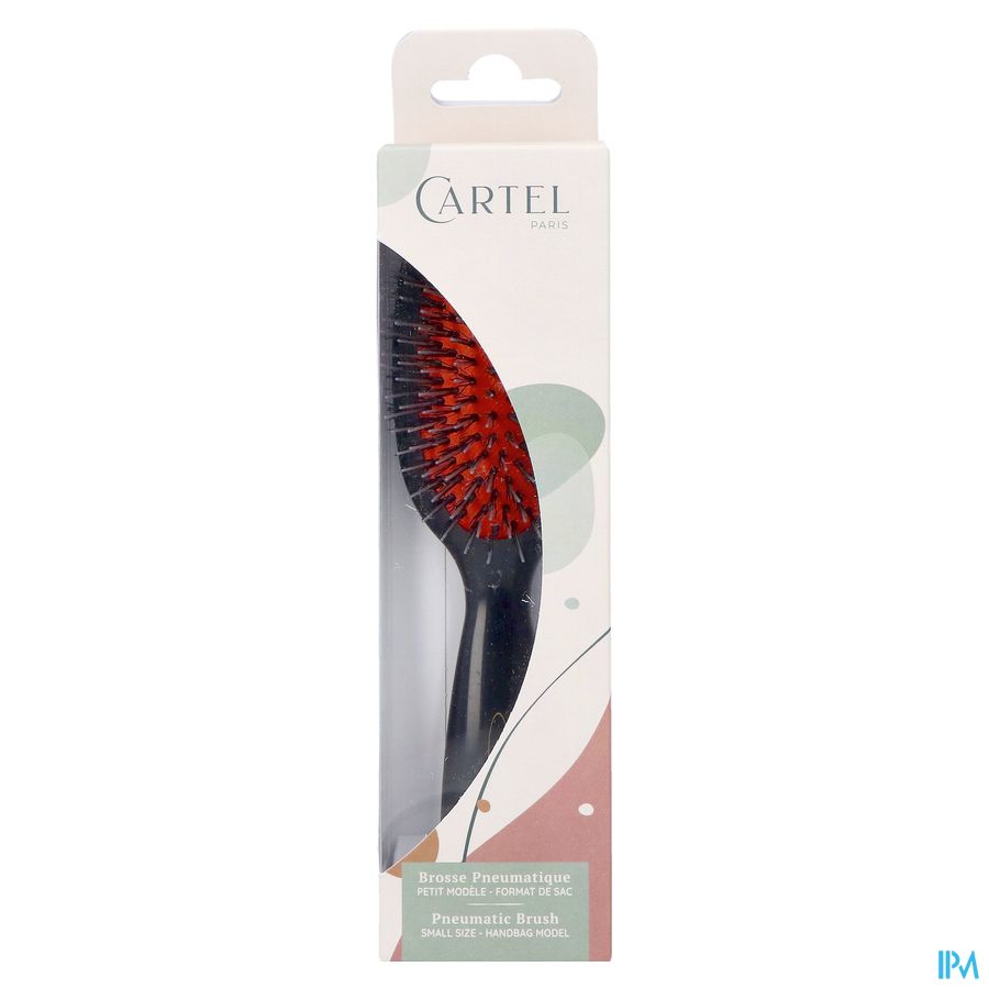 BROSSE PNEUM. SANGLIER/ PICOT NYLON SAC (ASIE)