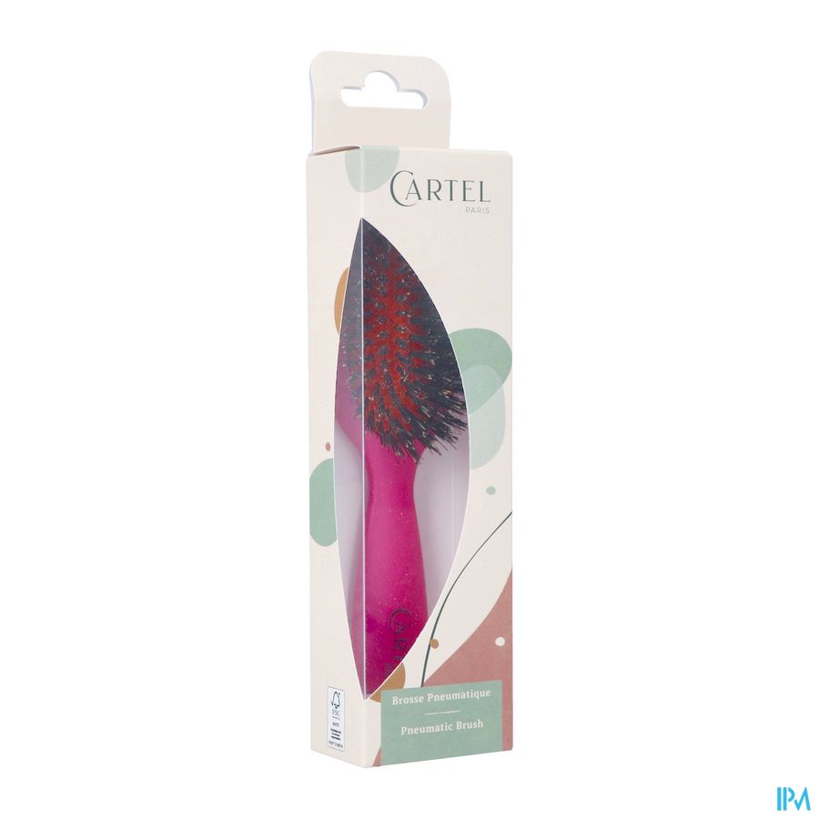 BROSSE PNEUM. SANGLIER SAC COULEUR (ASIE)