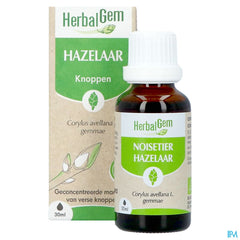 Herbalgem Noisetier Bio 30ml