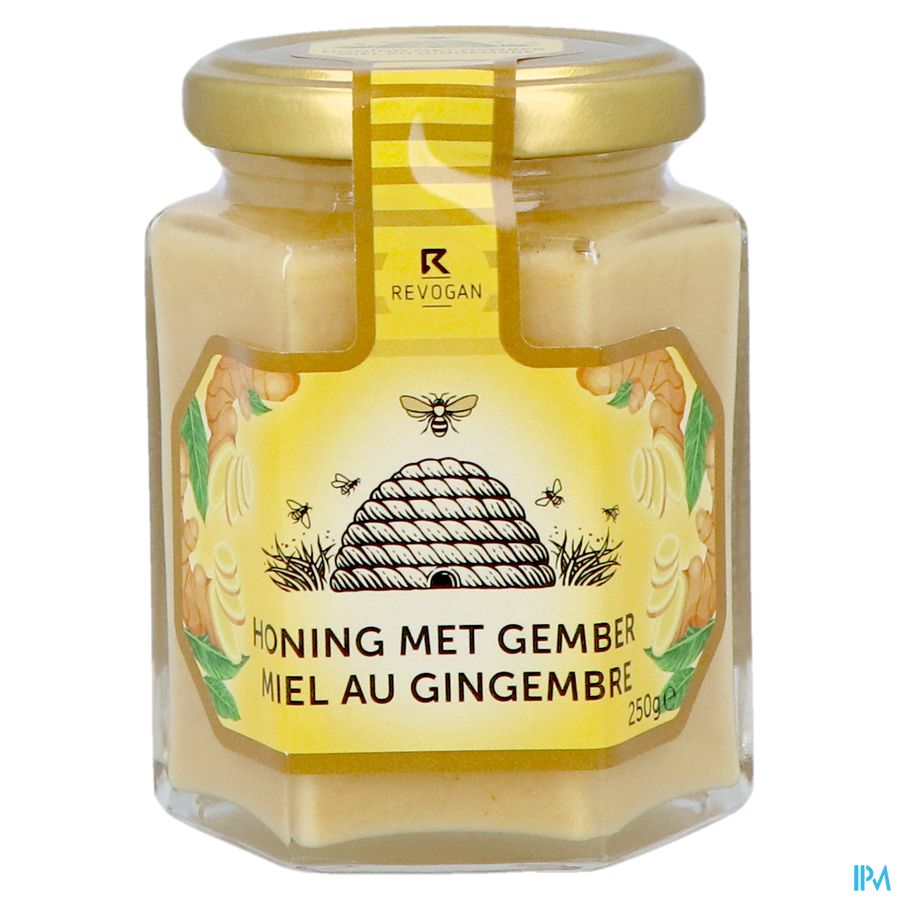 Revogan Miel Gingembre Solide 250g 3074