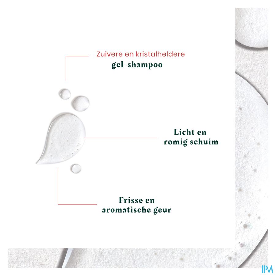René Furterer Shampooing antipelliculaire pellicules grasse, cuir chevelu gras - Shampoing anti pelliculaire - NEOPUR MICROBIOME EXPERT