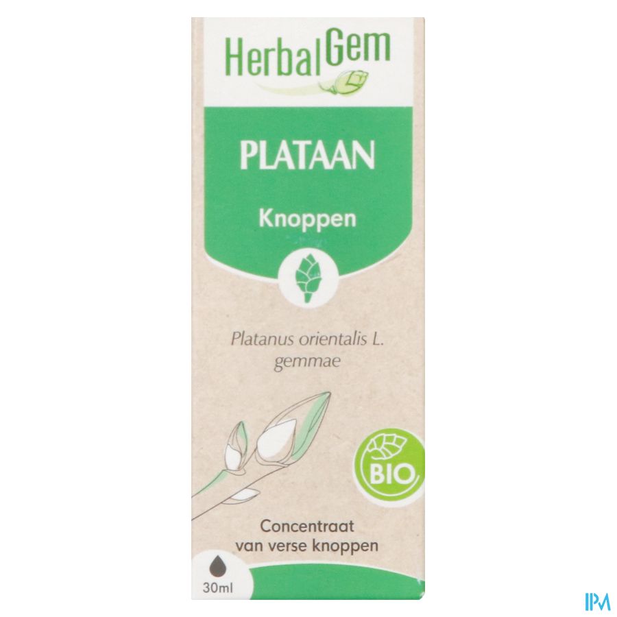 Herbalgem Platane Bio 30ml