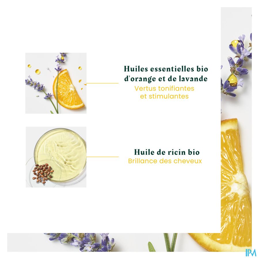 René Furterer Head Spa Complexe 5 Concentré stimulant force & vitalité cuir chevelu 50ml