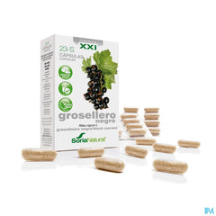 Soria 23-s Ribes Nigrum Xxi Caps 30