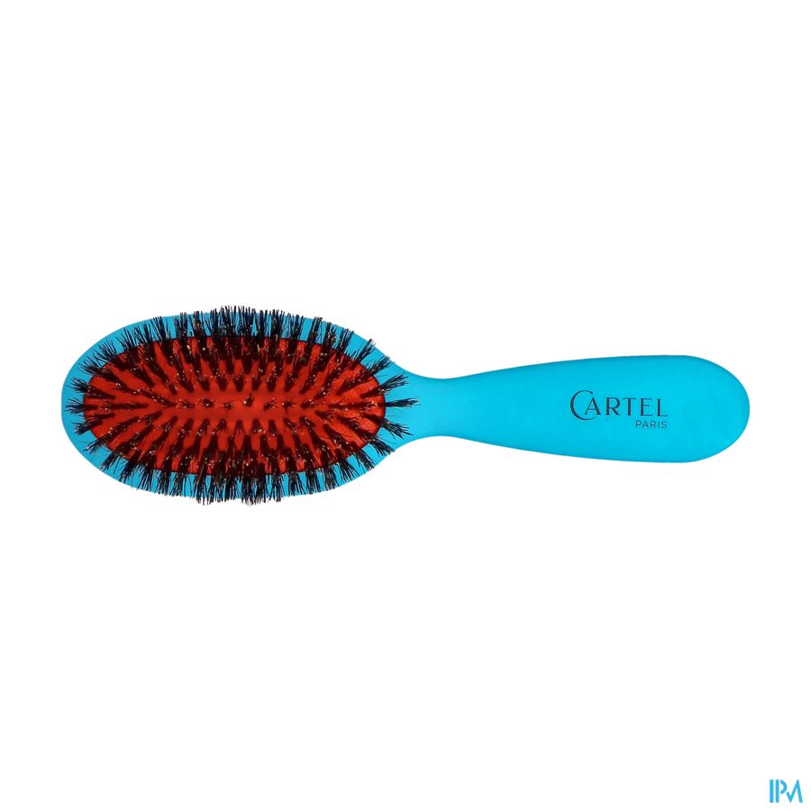 BROSSE PNEUM. SANGLIER SAC COULEUR (ASIE)