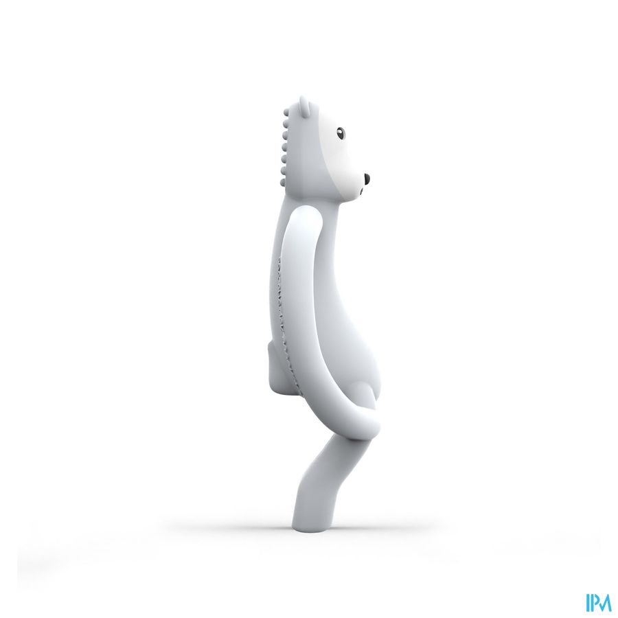 Matchstick Monkey Anneau Dentition Ours Polaire