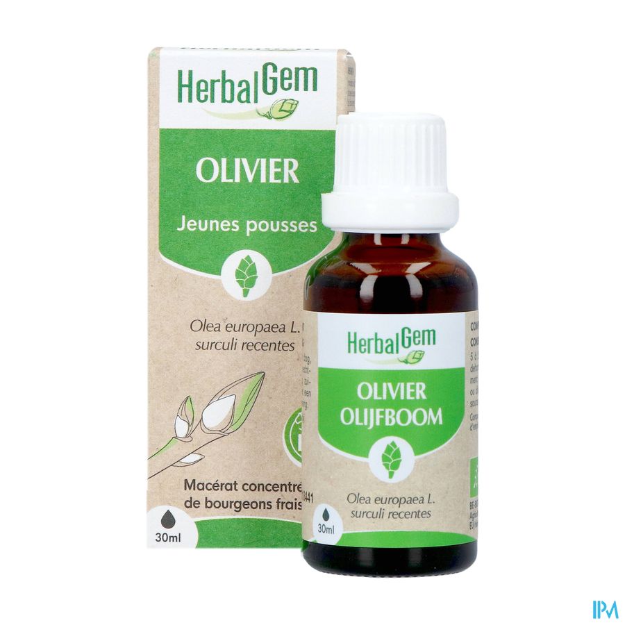 Herbalgem Olivier Bio 30ml