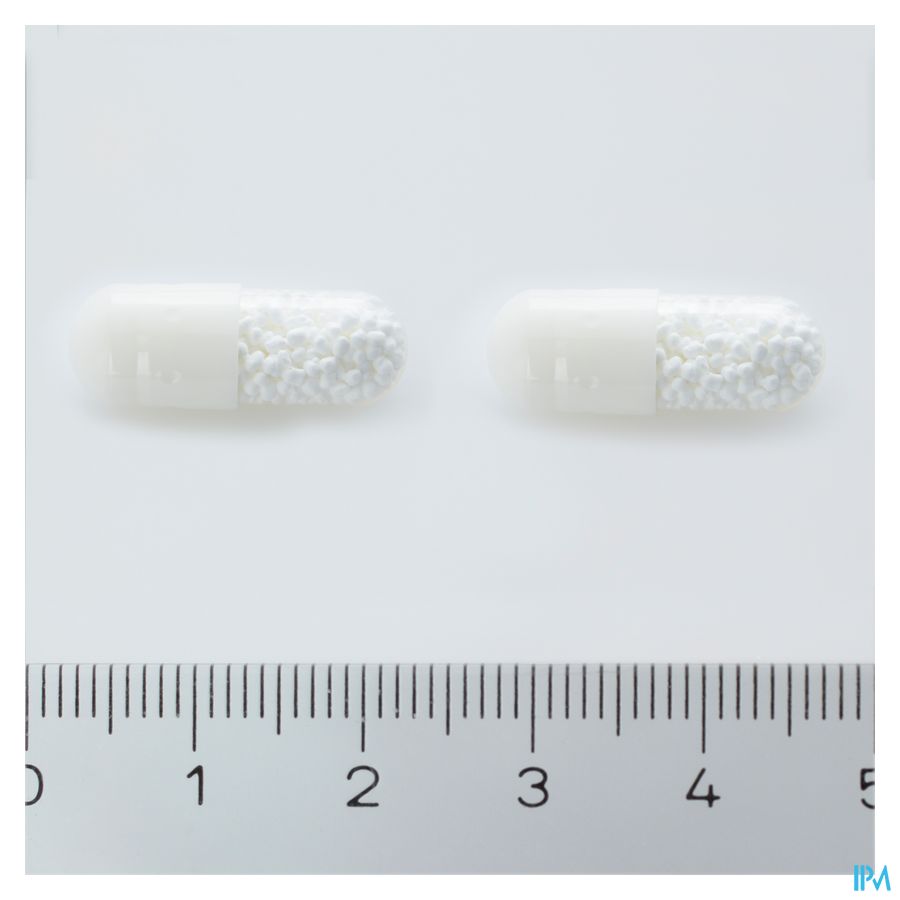 Xanthium 400 Caps 60 X 400mg