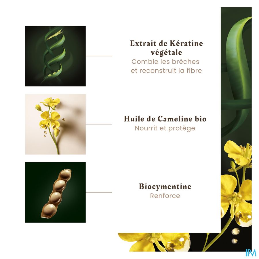 René Furterer - Shampooing-soin réparateur - Shampoing sans sulfates à la Kératine Végétale - ABSOLUE KERATINE