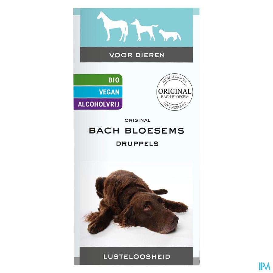 Fleurs De Bach Animaux Indolence Gouttes 20ml