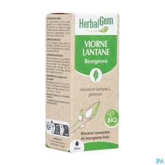 Herbalgem Viorne Bio 30ml