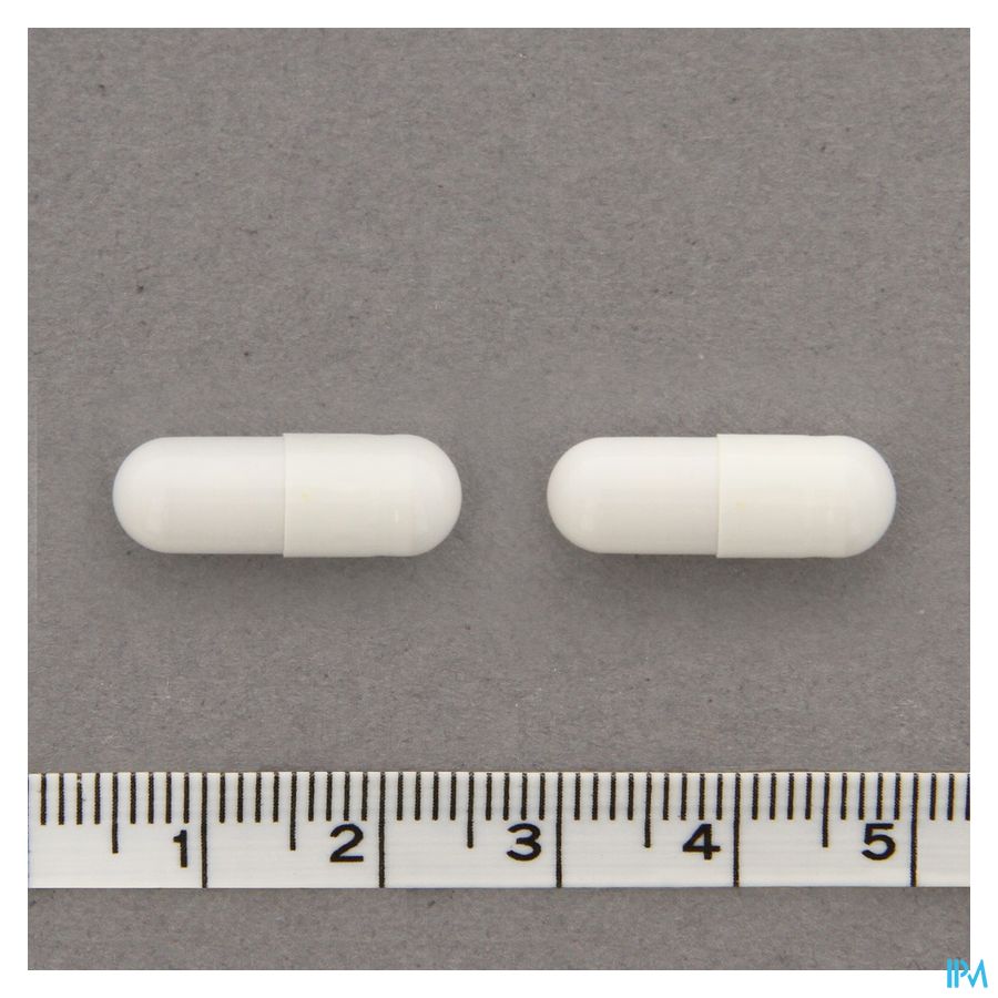 Cogniton Focus Caps 60