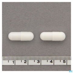 Cogniton Focus Caps 60