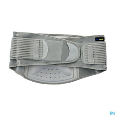 Actimove Back Support l/xl 1