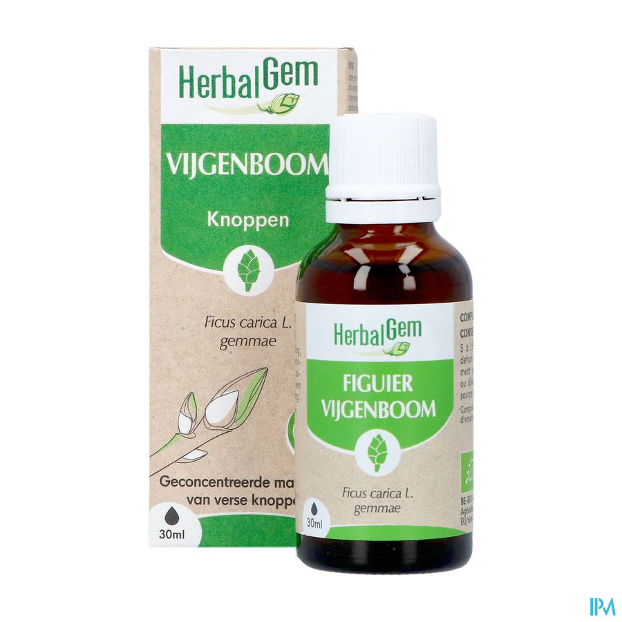 Herbalgem Figuier Bio 30ml