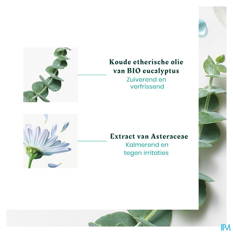 René Furterer Astera - soin cuir chevelu avant-shampoing apaisant - HEAD SPA