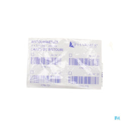 Bistouris S.m Lames N/st N24 10