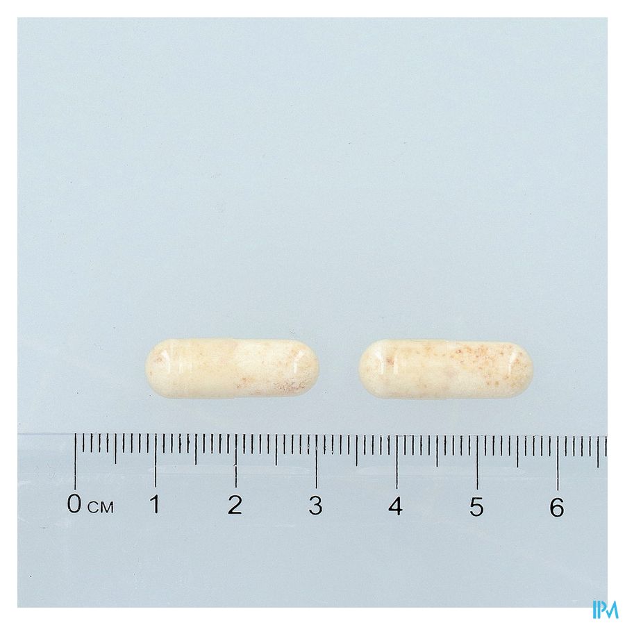 Bactecal Caps 60