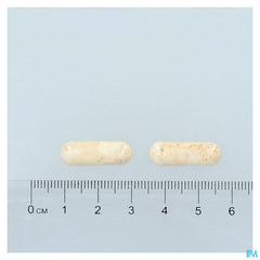 Bactecal Caps 60