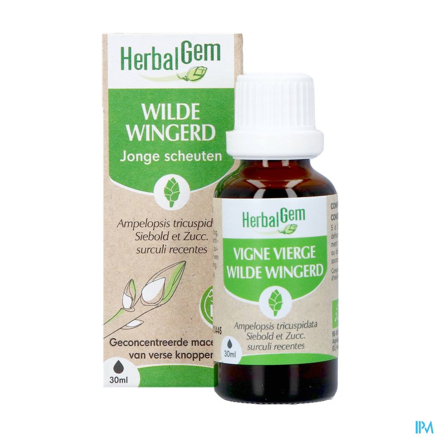 Herbalgem Vigne Vier Bio 30ml