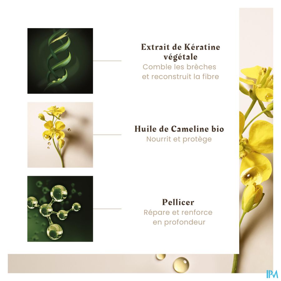 René Furterer - Sérum Réparateur Ultime - Soin pointes abimées - ABSOLUE KÉRATINE