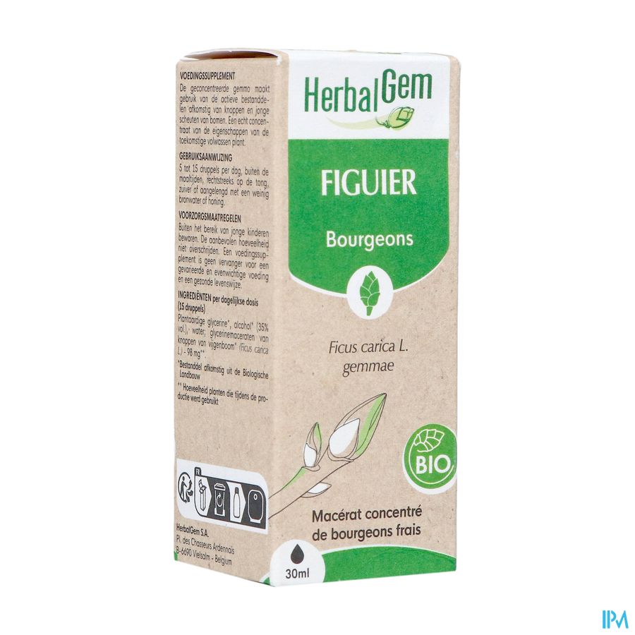 Herbalgem Figuier Bio 30ml