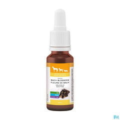 Fleurs De Bach Animaux Help Gouttes 20ml