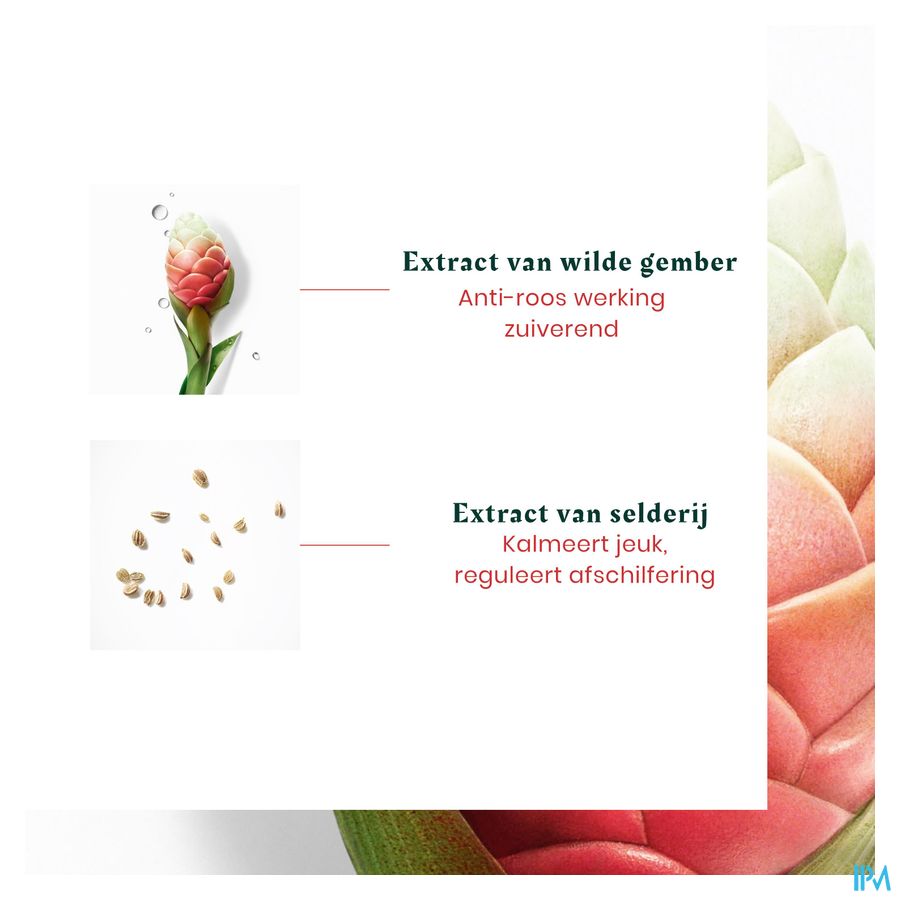 René Furterer Shampooing antipelliculaire pellicules grasse, cuir chevelu gras - Shampoing anti pelliculaire - NEOPUR MICROBIOME EXPERT