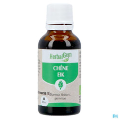 Herbalgem Chene Bio 30ml