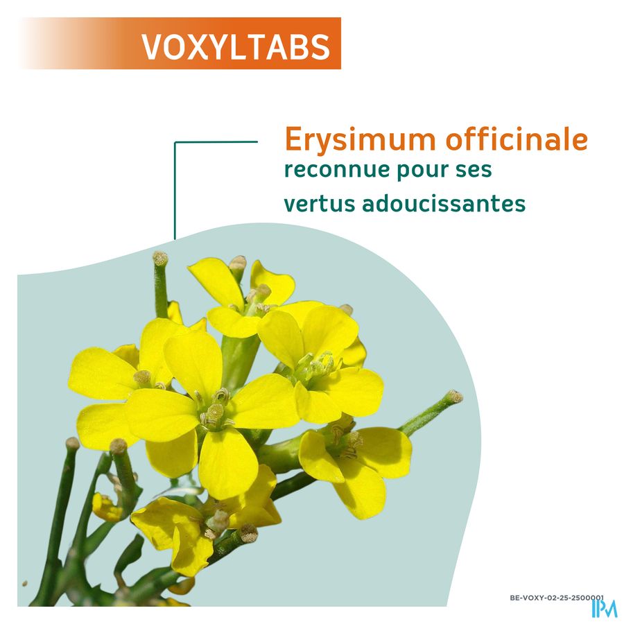 VOXYLTBAS Pastilles pour la gorge
