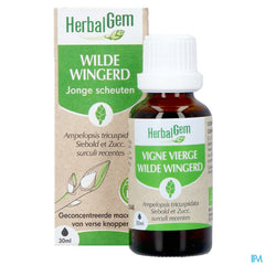 Herbalgem Vigne Vier Bio 30ml