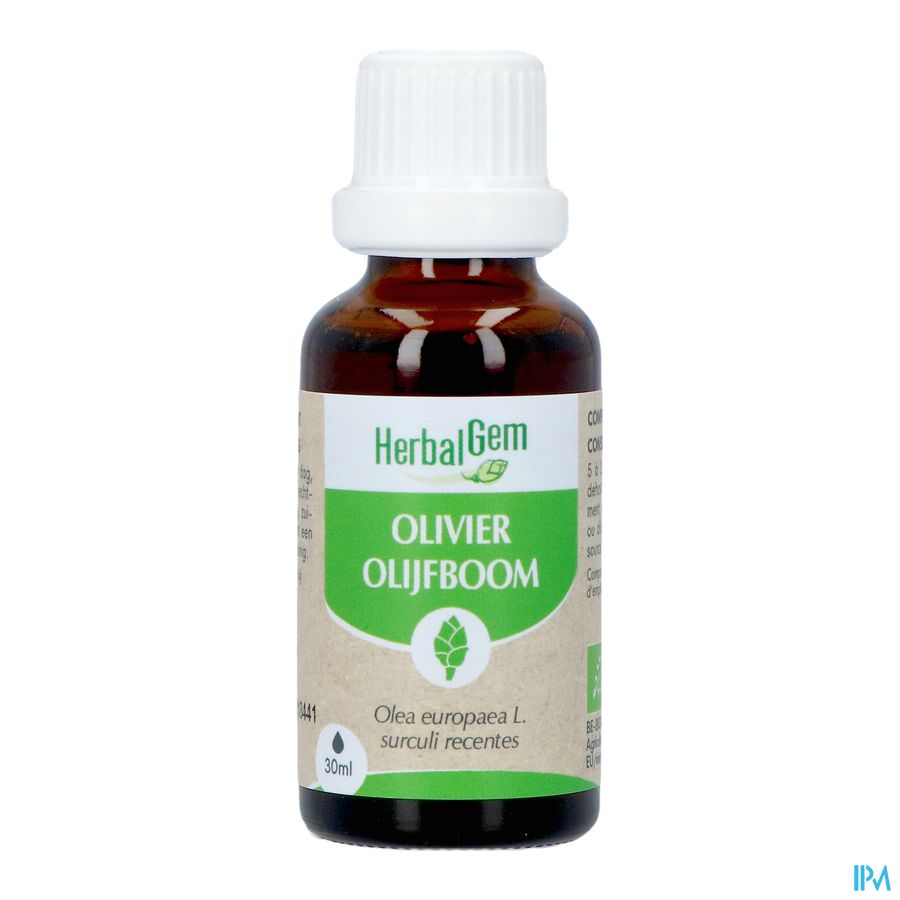 Herbalgem Olivier Bio 30ml