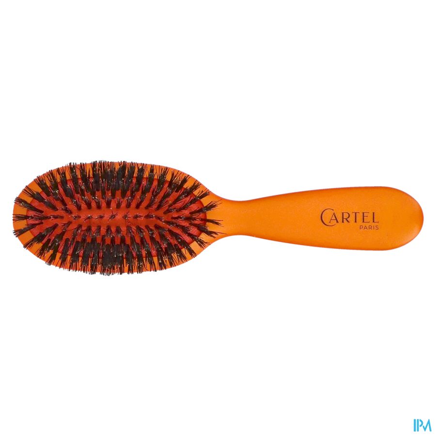 BROSSE PNEUM. SANGLIER SAC COULEUR (ASIE)