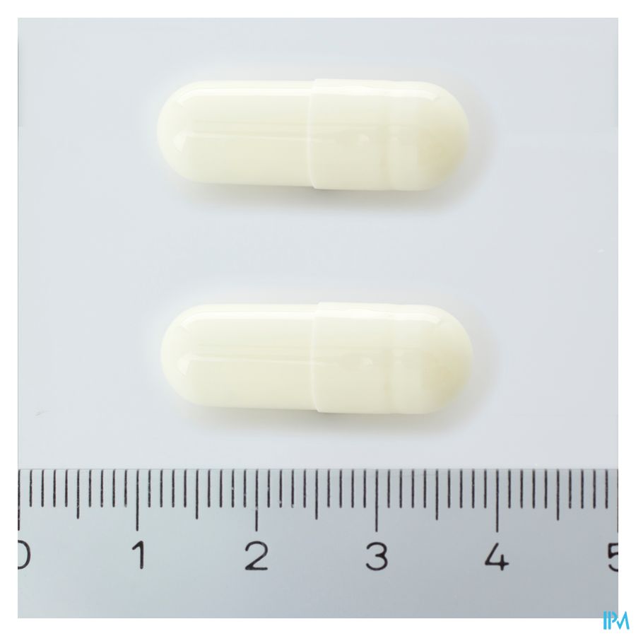 Progor Caps 56x300mg