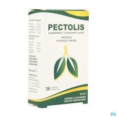 Soria Pectolis Comp A Sucer 36