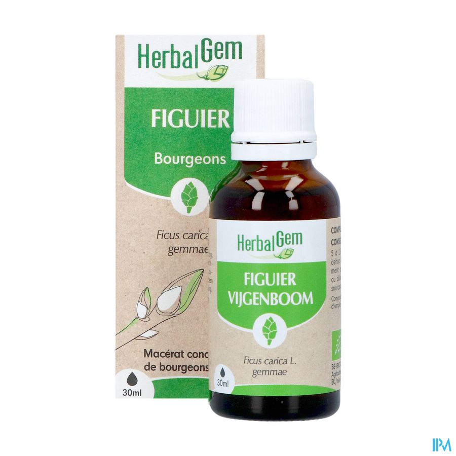 Herbalgem Figuier Bio 30ml