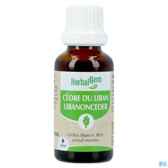 Herbalgem Cedre Bio 30ml